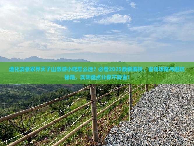 通化去张家界天子山旅游小吃