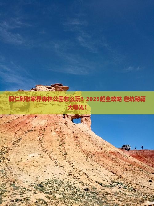 铜仁到张家界森林公园大型旅游团
