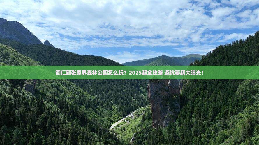 铜仁到张家界森林公园大型旅游团