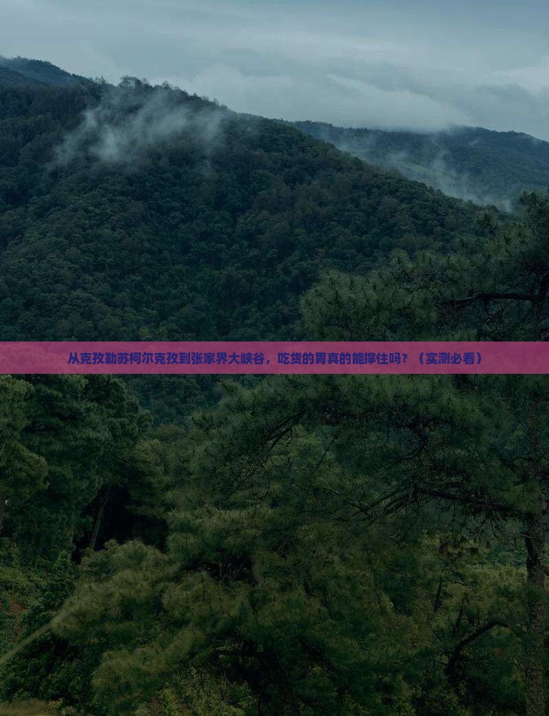 克孜勒苏柯尔克孜到张家界大峡谷旅游小吃