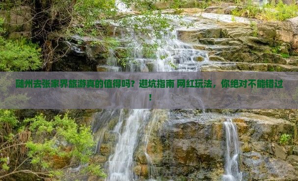随州去张家界旅游