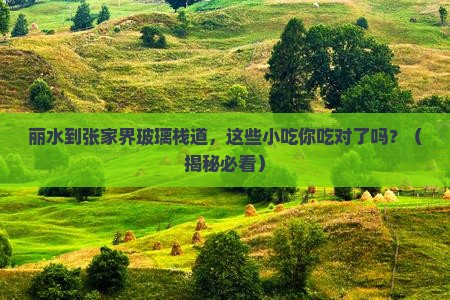 丽水到张家界玻璃栈道旅游小吃