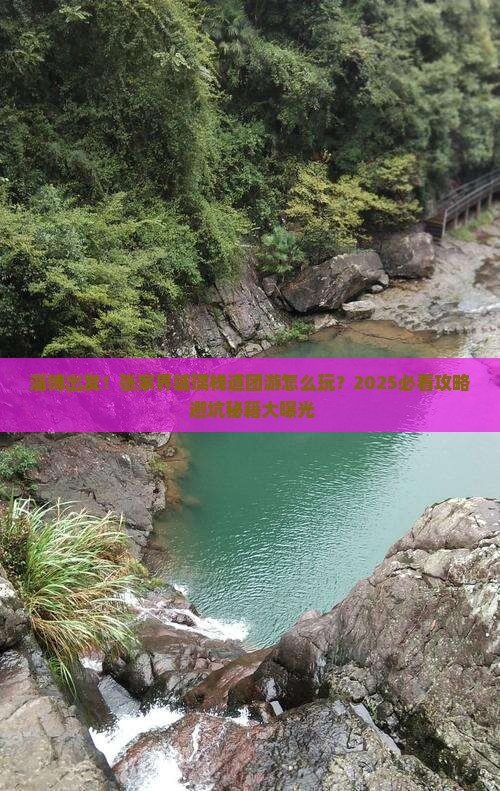 淄博到张家界玻璃栈道大型旅游团