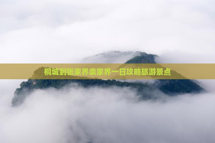 桐城到张家界袁家界一日