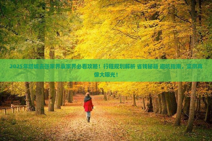塔城去张家界袁家界景点