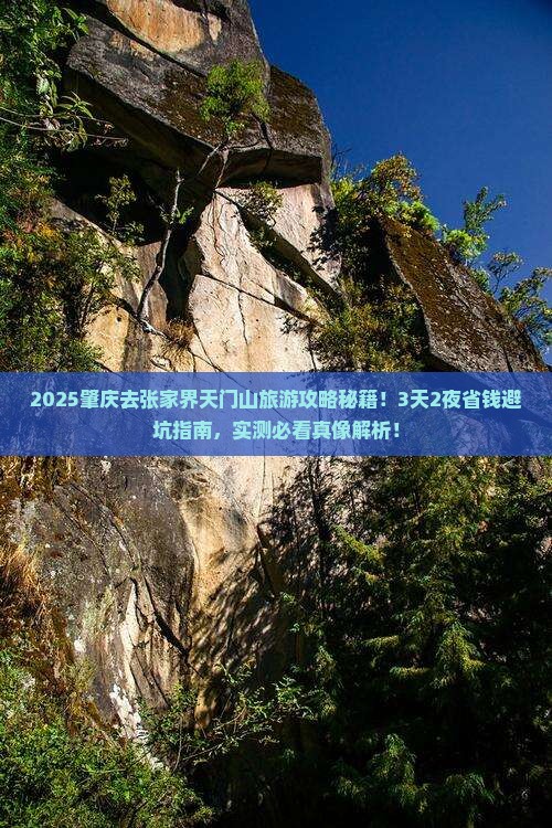 肇庆去张家界天门山旅游