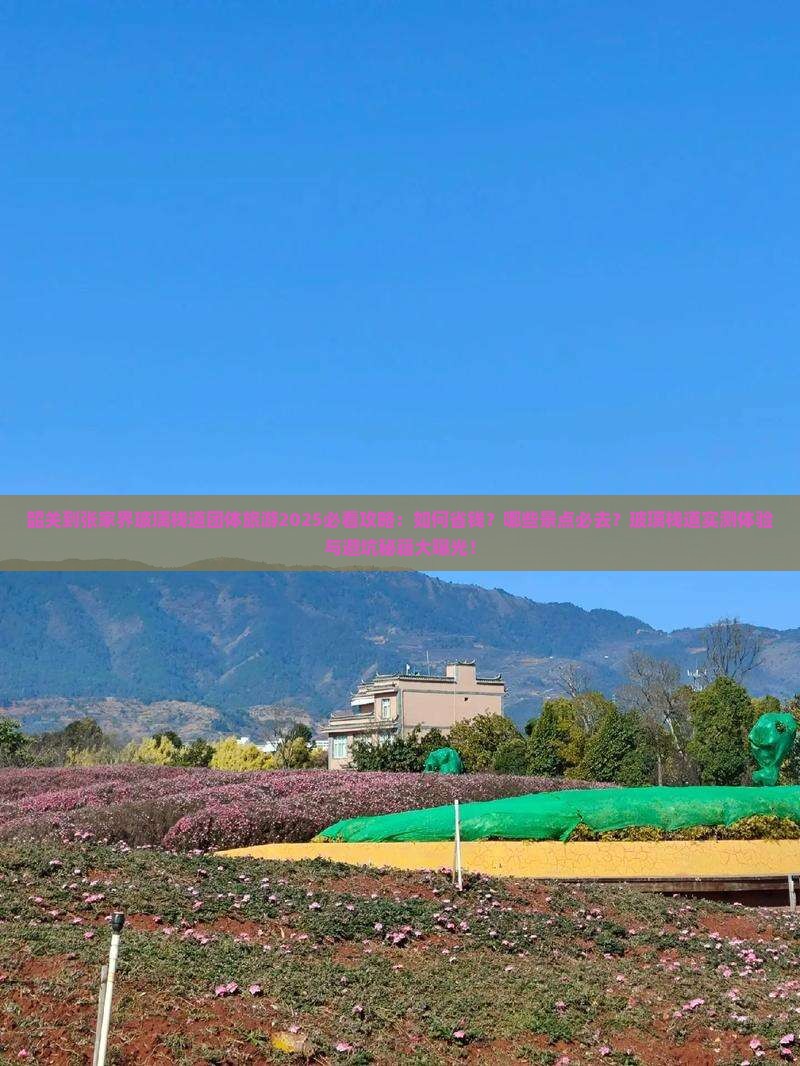 韶关到张家界玻璃栈道团体旅游