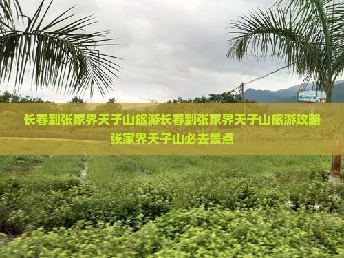长春到张家界天子山旅游