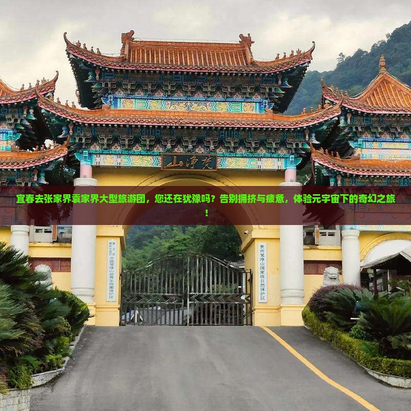 宜春去张家界袁家界大型旅游团