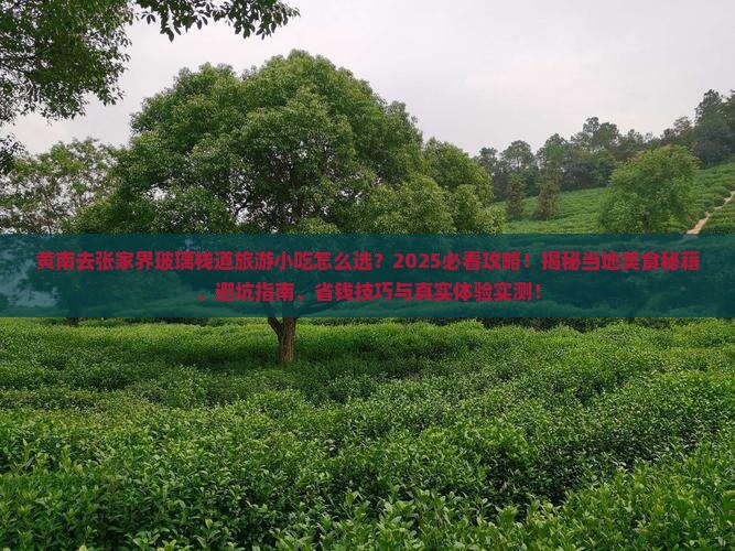 黄南去张家界玻璃栈道旅游小吃