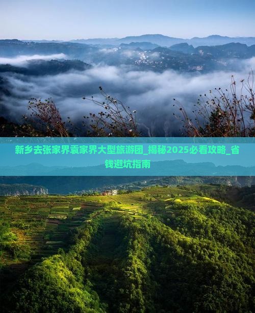 新乡去张家界袁家界大型旅游团