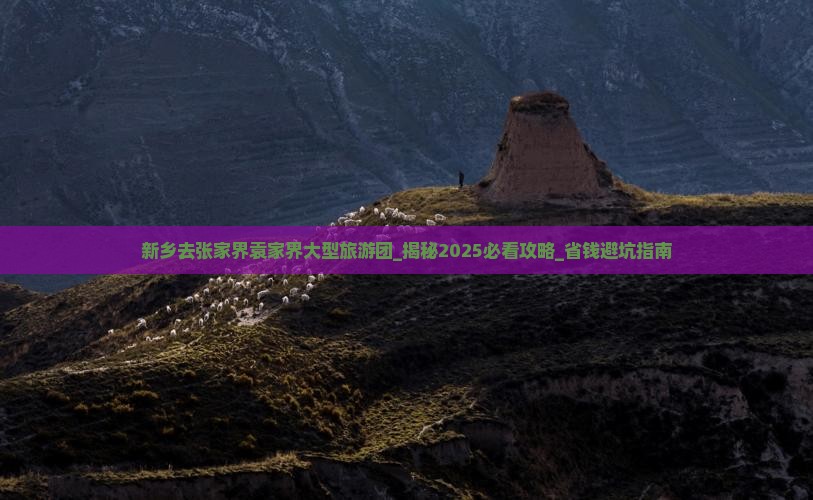 新乡去张家界袁家界大型旅游团
