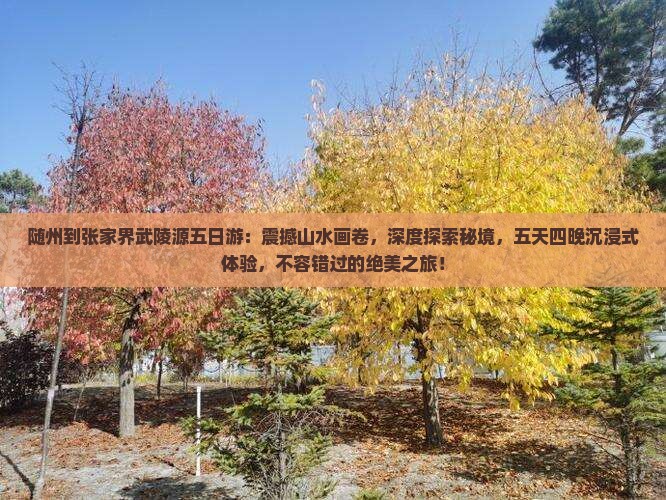 随州到张家界武陵源五日游
