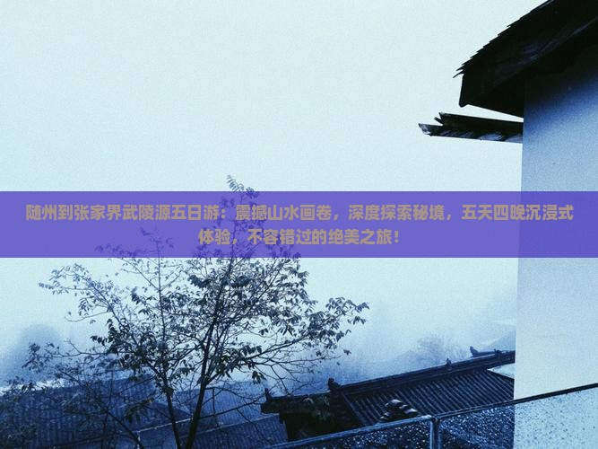 随州到张家界武陵源五日游