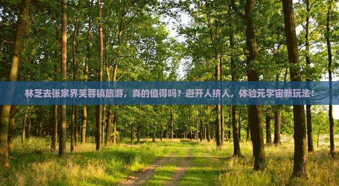 林芝去张家界芙蓉镇旅游