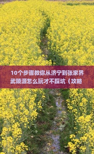 济宁到张家界武陵源攻略