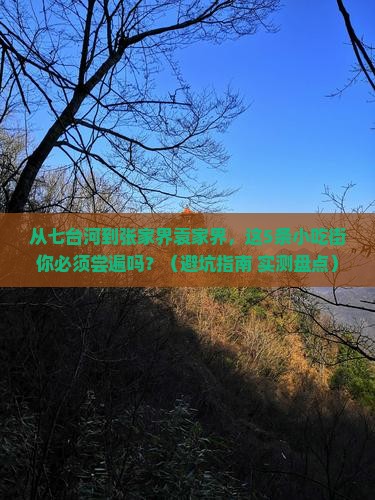 七台河到张家界袁家界旅游小吃