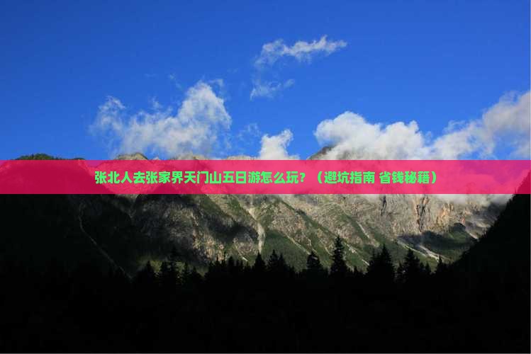 张北去张家界天门山五日游