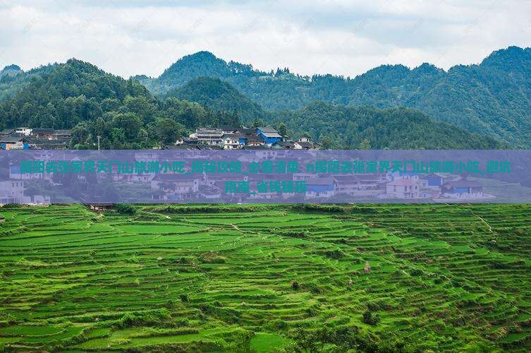 揭阳去张家界天门山旅游小吃