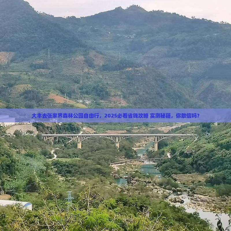 大丰去张家界森林公园自由行