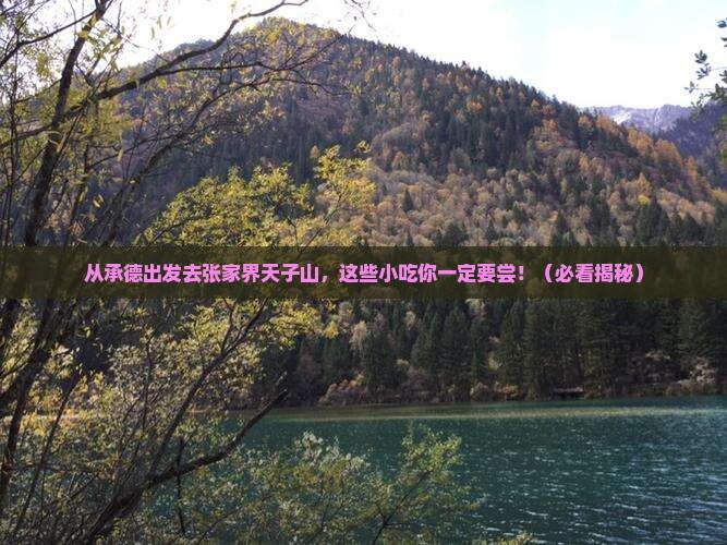 承德去张家界天子山旅游小吃