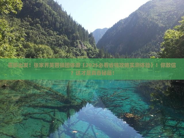 霍邱到张家界芙蓉镇团体旅游