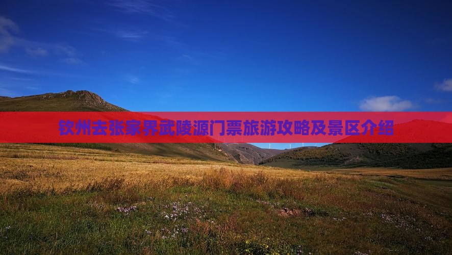 钦州去张家界武陵源门票