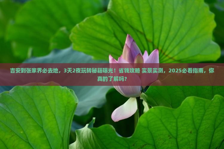吉安到张家界必去地