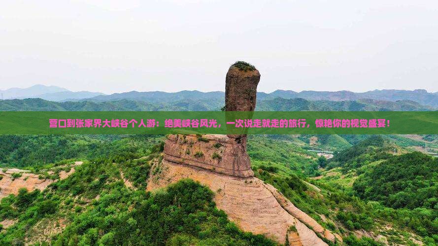 营口到张家界大峡谷个人游