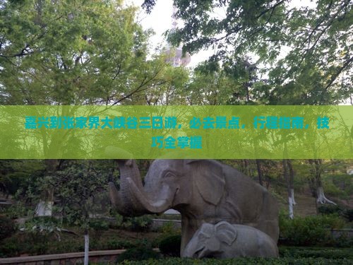 嘉兴到张家界大峡谷三日游