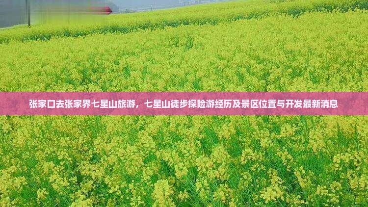 张家口去张家界七星山旅游