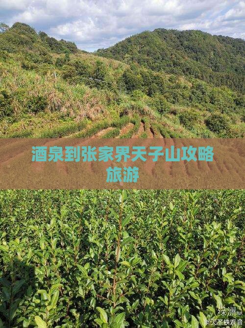 酒泉到张家界天子山大型旅游团