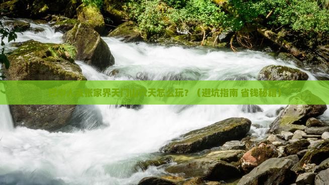 巴中去张家界天门山六日游