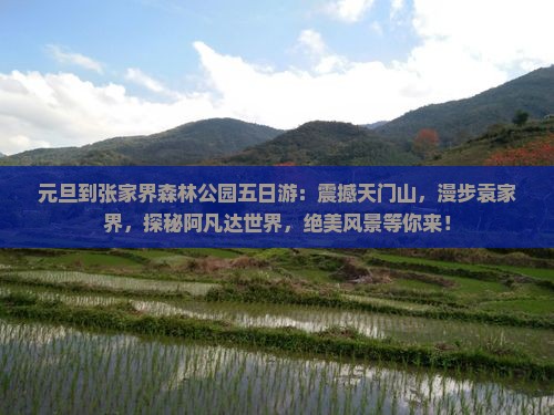 元旦到张家界森林公园五日游