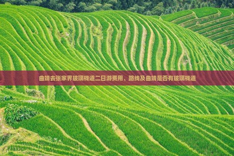 曲靖去张家界玻璃栈道二日游