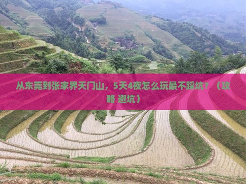 东莞去张家界天门山自由行