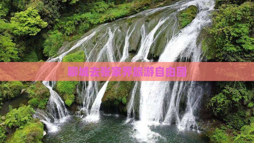 聊城去张家界自由团
