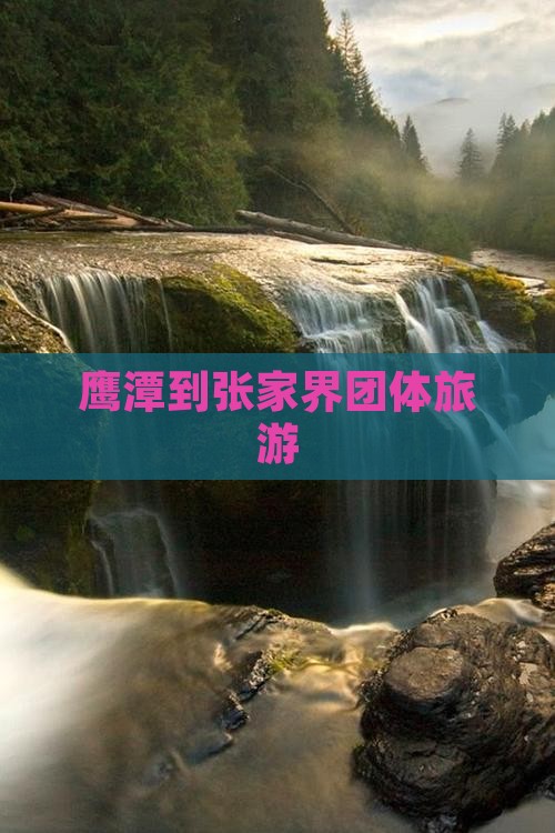 鹰潭到张家界团体旅游