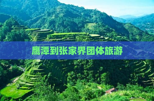 鹰潭到张家界团体旅游