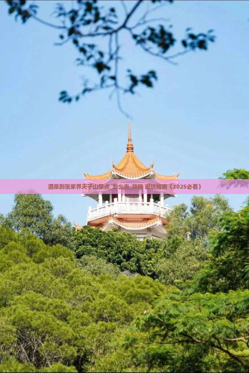 酒泉到张家界天子山景点