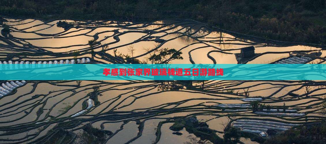 孝感到张家界玻璃栈道五日游