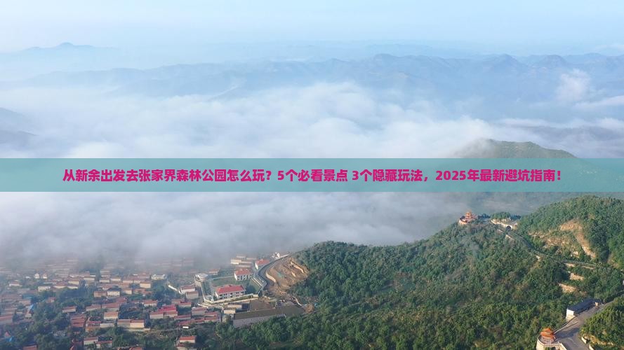 新余去张家界森林公园旅游