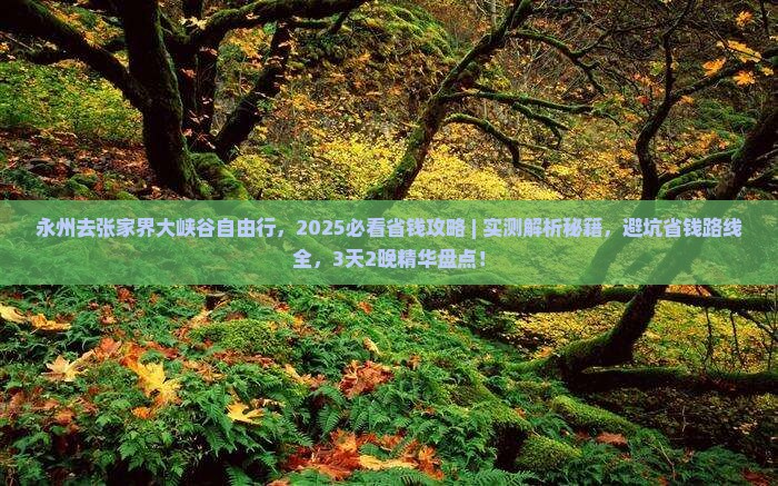 永州去张家界大峡谷自由行