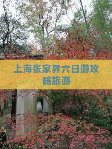 上海去张家界六日游