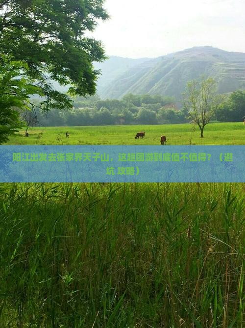 阳江到张家界天子山团体旅游