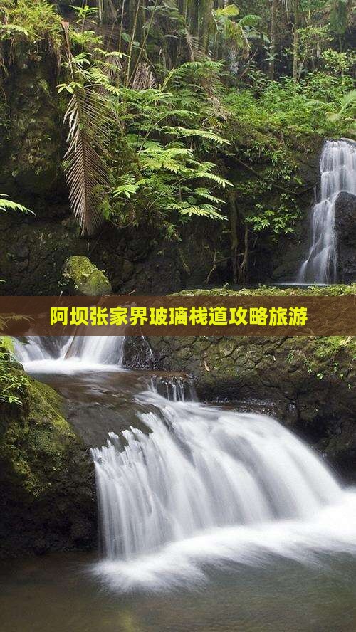 阿坝去张家界玻璃栈道自由行