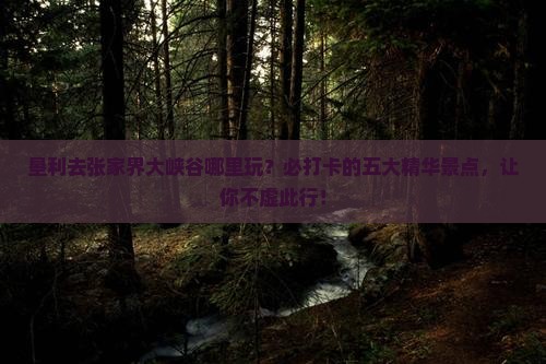 垦利去张家界大峡谷哪里玩