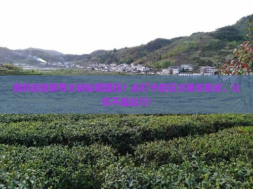 垦利去张家界大峡谷哪里玩
