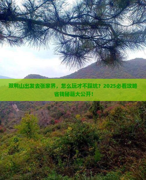 双鸭山去张家界景点