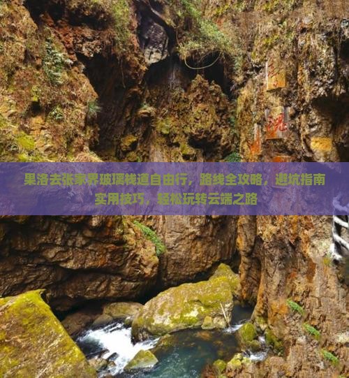 果洛去张家界玻璃栈道自由行